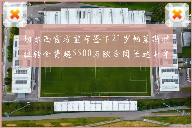 切尔西官方宣布签下21岁帕莱斯特拉转会费超5500万欧合同长达七年