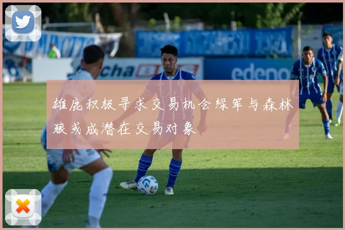 雄鹿积极寻求交易机会绿军与森林狼或成潜在交易对象